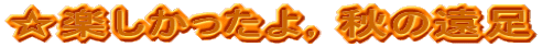 yCH̉