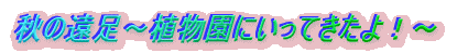 H̉`AɂĂI`