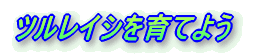 �c�����C�V����Ă悤