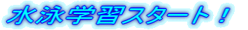 ���j�w�K�X�^�[�g�I