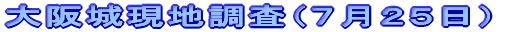 ���錻�n�����i�V���Q�T���j 