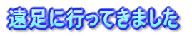 ɍsĂ܂