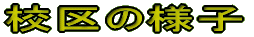 �Z��̗l�q 