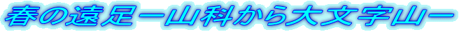 t̉[RȂ啶R[