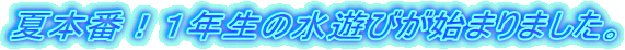 Ė{ԁIPN̐Vтn܂܂B