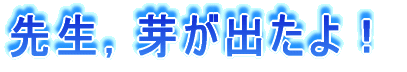 搶C肪oI