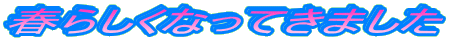 t炵ȂĂ܂