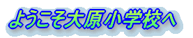 �悤�����匴���w�Z�� 