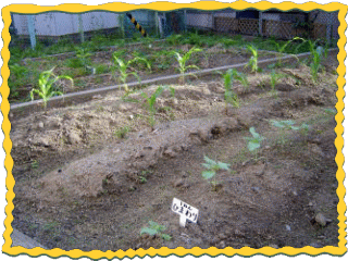 �͂����ɂ́A�Ƃ����낱���A�Ђ܂��A������A�}���[�S�[���h�A�ЂႭ�ɂ������A�ق����񂩁A�����������܂����B
